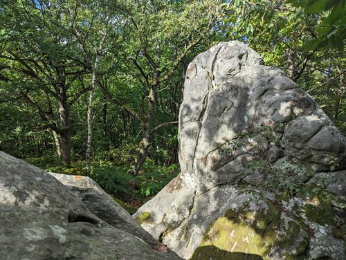 Area cover image showing a relevant boulder.